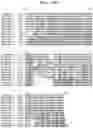 Fig. 03 - INSECTICIDAL PROTEINS AND METHODS FOR THEIR USE