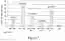 Fig. 06 - CHIMERIC NUCLEIC ACID MOLECULES WITH NON-AUG TRANSLATION INITIATION SEQUENCES AND USES THEREOF