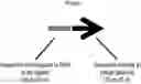 Fig. 01 - Host bacterium specific nanoparticle