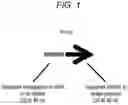 Fig. 02 - Host bacterium specific nanoparticle