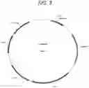 Fig. 04 - Host bacterium specific nanoparticle