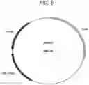 Fig. 07 - Host bacterium specific nanoparticle