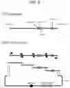 Fig. 09 - Host bacterium specific nanoparticle