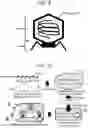 Fig. 10 - Host bacterium specific nanoparticle