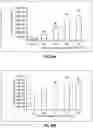 Fig. 20 - FOAMY VIRAL VECTOR COMPOSITIONS AND METHODS FOR THE MANUFACTURE OF SAME