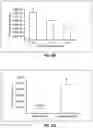 Fig. 22 - FOAMY VIRAL VECTOR COMPOSITIONS AND METHODS FOR THE MANUFACTURE OF SAME