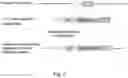 Fig. 03 - Method For Delivering Gene In Cells