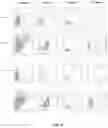 Fig. 07 - Method For Delivering Gene In Cells