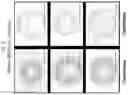 Fig. 10 - MODIFIED ORTHOPOXVIRUS VECTORS