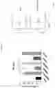 Fig. 27 - MODIFIED ORTHOPOXVIRUS VECTORS