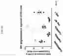 Fig. 28 - MODIFIED ORTHOPOXVIRUS VECTORS