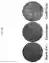 Fig. 30 - MODIFIED ORTHOPOXVIRUS VECTORS