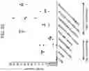 Fig. 56 - MODIFIED ORTHOPOXVIRUS VECTORS