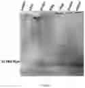 Fig. 03 - CELL MEMBRANE PENETRATING CONJUGATES FOR GENE EDITING