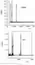 Fig. 04 - CELL MEMBRANE PENETRATING CONJUGATES FOR GENE EDITING