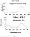 Fig. 05 - CELL MEMBRANE PENETRATING CONJUGATES FOR GENE EDITING