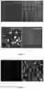 Fig. 06 - CELL MEMBRANE PENETRATING CONJUGATES FOR GENE EDITING