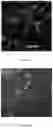 Fig. 10 - CELL MEMBRANE PENETRATING CONJUGATES FOR GENE EDITING