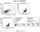 Fig. 13 - CELL MEMBRANE PENETRATING CONJUGATES FOR GENE EDITING