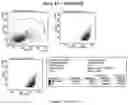 Fig. 14 - CELL MEMBRANE PENETRATING CONJUGATES FOR GENE EDITING