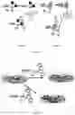 Fig. 17 - CELL MEMBRANE PENETRATING CONJUGATES FOR GENE EDITING