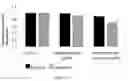 Fig. 25 - CELL MEMBRANE PENETRATING CONJUGATES FOR GENE EDITING