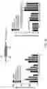 Fig. 23 - SELECTION BY MEANS OF ARTIFICIAL TRANSACTIVATORS