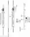 Fig. 37 - SELECTION BY MEANS OF ARTIFICIAL TRANSACTIVATORS