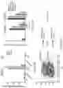 Fig. 40 - SELECTION BY MEANS OF ARTIFICIAL TRANSACTIVATORS