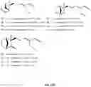 Fig. 32 - METHOD FOR PRODUCING FRAGRANT ALCOHOLS