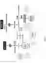 Fig. 05 - MICROBIAL CONVERSION OF OILS AND FATS TO LIPID-DERIVED HIGH-VALUE PRODUCTS