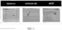 Fig. 08 - MICROBIAL CONVERSION OF OILS AND FATS TO LIPID-DERIVED HIGH-VALUE PRODUCTS