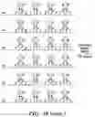 Fig. 32 - COMPOSITIONS AND METHOD FOR SYNTHESIZING NUCLEIC ACIDS