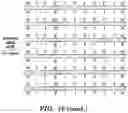 Fig. 33 - COMPOSITIONS AND METHOD FOR SYNTHESIZING NUCLEIC ACIDS