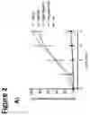 Fig. 04 - AGERITIN AS BIOINSECTICIDE AND METHODS OF GENERATING AND USING IT