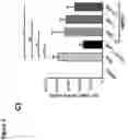 Fig. 06 - AGERITIN AS BIOINSECTICIDE AND METHODS OF GENERATING AND USING IT