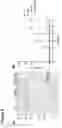 Fig. 12 - AGERITIN AS BIOINSECTICIDE AND METHODS OF GENERATING AND USING IT