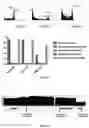 Fig. 05 - Compositions and methods of labeling mitochondrial nucleic acids and sequencing and analysis thereof