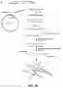 Fig. 07 - Compositions and methods of labeling mitochondrial nucleic acids and sequencing and analysis thereof