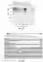 Fig. 19 - Compositions and methods of labeling mitochondrial nucleic acids and sequencing and analysis thereof