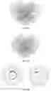 Fig. 32 - Compositions and methods of labeling mitochondrial nucleic acids and sequencing and analysis thereof