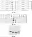 Fig. 34 - Compositions and methods of labeling mitochondrial nucleic acids and sequencing and analysis thereof