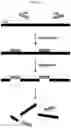 Fig. 02 - Methods of Depleting a Target Nucleic Acid in a Sample and Kits for Practicing the Same