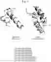 Fig. 04 - PORE