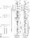Fig. 32 - PORE