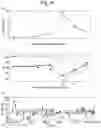 Fig. 33 - PORE