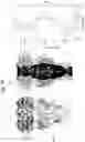 Fig. 40 - PORE