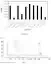 Fig. 06 - METHOD AND SYSTEM FOR CONSTRUCTING SEQUENCING LIBRARY ON THE BASIS OF METHYLATED DNA TARGET REGION, AND USE THEREOF