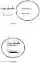 Fig. 08 - System and methods for massively parallel analysis of nucleic acids in single cells