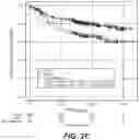 Fig. 04 - PREDICTION AND CHARACTERIZATION OF DLBCL CELL OF ORIGIN SUBTYPES